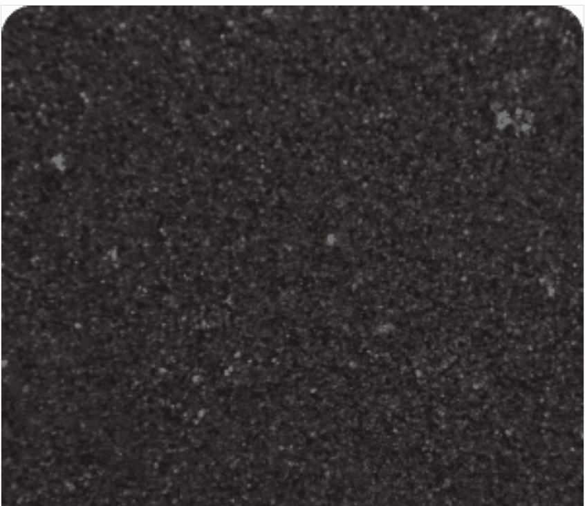 SƠN ĐƠN SẮC HODA DECORATIVE GRANITE – HDG 251-343