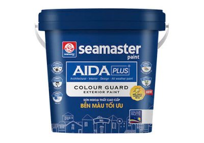 AIDA Colour Guard
